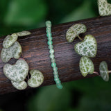 Aion Zenit (made to order)