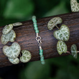 Aion Zenit (made to order)