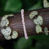 Rongo Zenit (made to order)