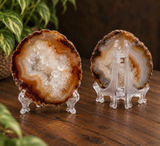 Agate Slice Naturally Warm