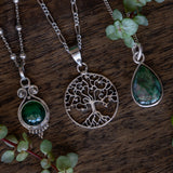 Thuja