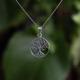 Thuja