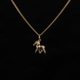 Aries Goldia