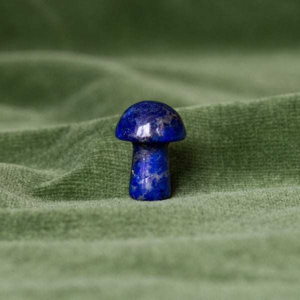Paddenstoel Lapis Lazuli