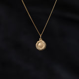 Girasol (pre-order)