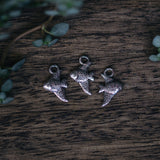 Ikan