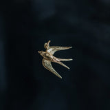 Vanida (pre-order)